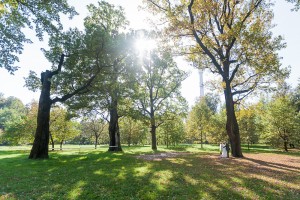 20150926 Anna-Sasha-wedding-4442 